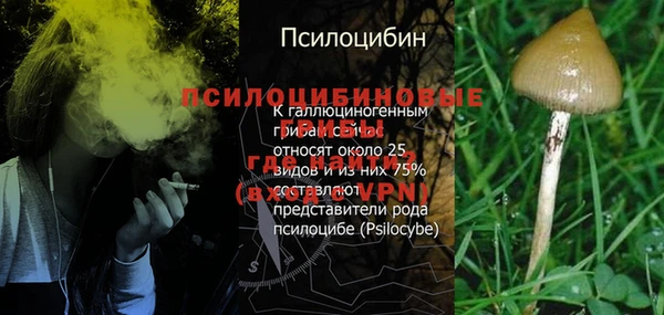 кокс Белокуриха