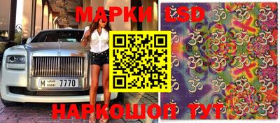 шишки Кимры