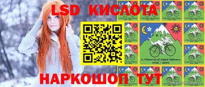 сатива Кингисепп