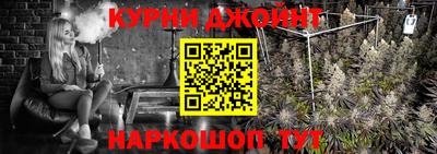 шишки Кимры