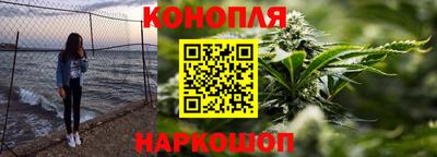 сатива Кингисепп