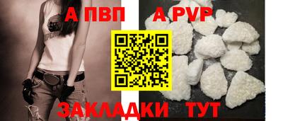шишки Кимры