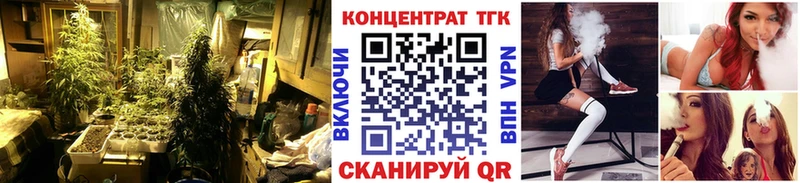 ТГК THC oil Красногорск
